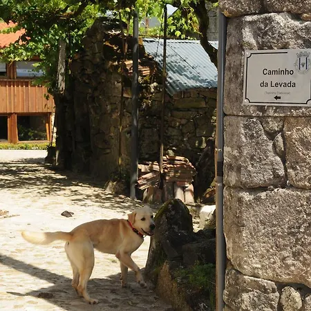 Casinhas Da Levada