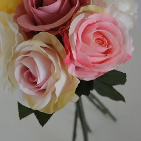 农家乐 Casinhas Da Levada *