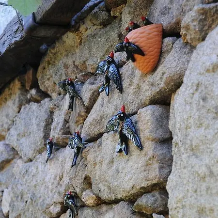 农家乐 Casinhas Da Levada *