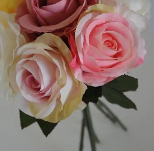 Farm stay Casinhas Da Levada *